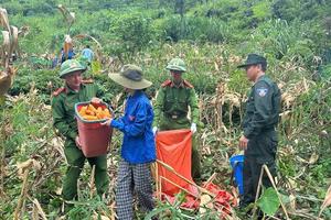 Diễn đàn Bộ Công an - Hội Nông dân Việt Nam: Lắng nghe nông dân nói