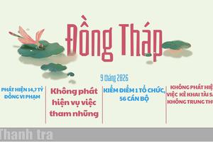 Đồng Tháp: Phát hiện vi phạm 14,7 tỷ đồng qua thanh tra, không phát hiện tham nhũng