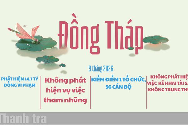 Đồng Tháp: Phát hiện vi phạm 14,7 tỷ đồng qua thanh tra, không phát hiện tham nhũng