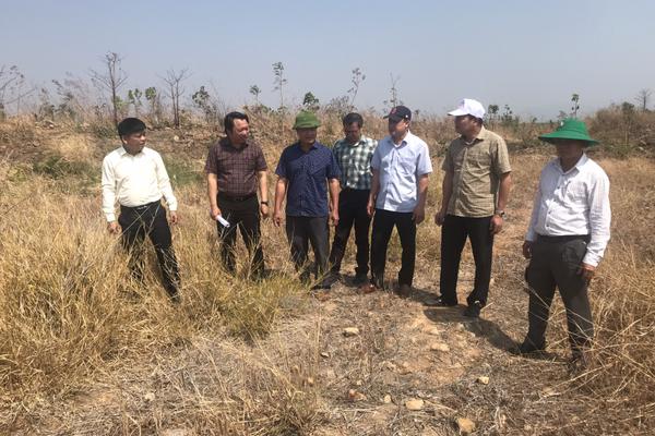 Thanh tra chỉ rõ loạt bất cập trong xử lý sai phạm tại 4 dự án cao su của Hoàng Anh Đắk Lắk