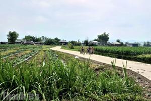 Lào Cai: Còn xã, phường chậm giải ngân làm đường giao thông nông thôn
