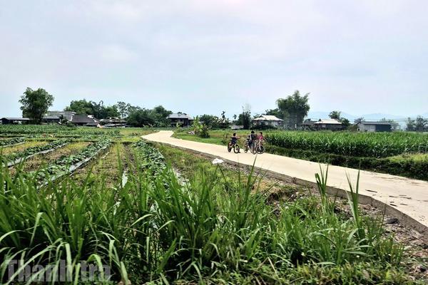 Lào Cai: Còn xã, phường chậm giải ngân làm đường giao thông nông thôn
