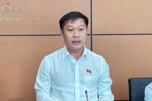 Đại biểu Quốc hội chỉ ra nghịch lý giá vật liệu xây dựng
