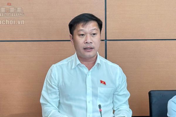 Đại biểu Quốc hội chỉ ra nghịch lý giá vật liệu xây dựng