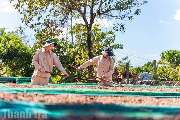 Nghịch lý tín dụng chính sách ở Gia Lai: Dư nợ tăng, nguồn vốn vẫn thiếu