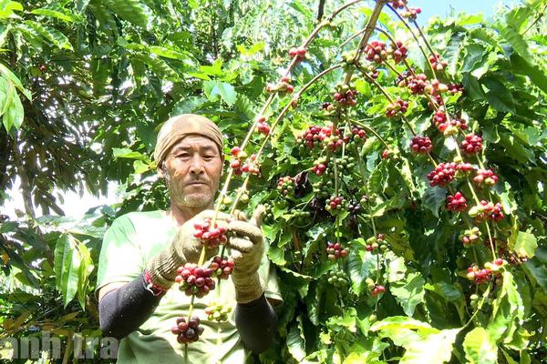 Lâm Đồng: Dòng vốn chính sách đến gần hơn với người dân Bảo Lâm 3