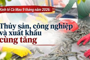 Kinh tế Cà Mau 9 tháng năm 2026: Thủy sản, công nghiệp và xuất khẩu cùng tăng