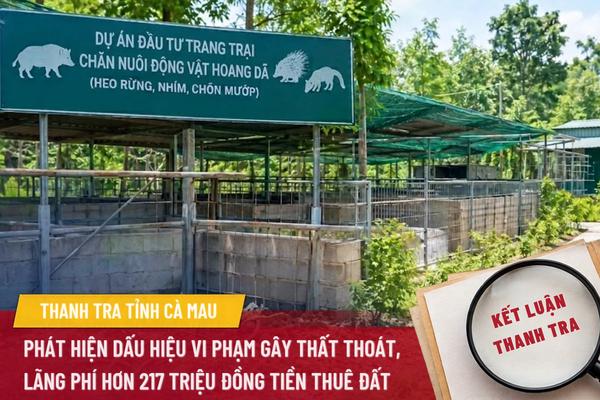 Cà Mau: Phát hiện dấu hiệu vi phạm gây thất thoát, lãng phí hơn 217 triệu đồng tiền thuê đất