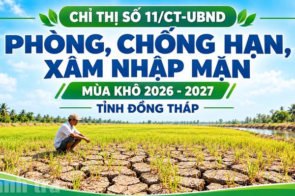 Đồng Tháp: Xây dựng kịch bản phòng, chống hạn, mặn ở mức rủi ro cao nhất