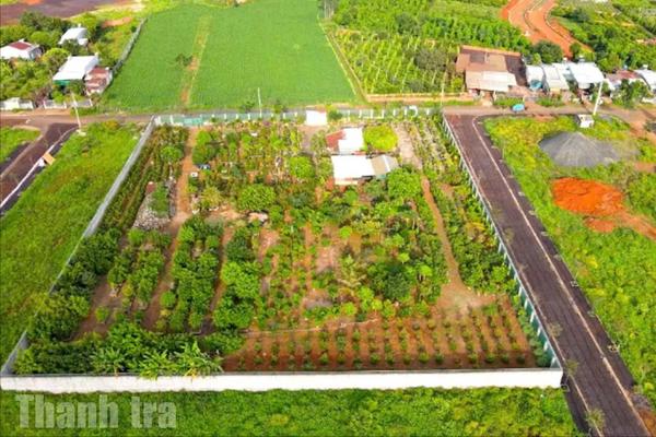 Thanh tra Gia Lai tập trung vào những lĩnh vực dễ phát sinh sai phạm