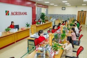 Agribank triển khai giảm lãi suất cho vay tới 2,0%/năm, hỗ trợ người dân và doanh nghiệp