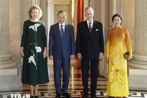 Nhà vua Bỉ Philippe sẵn sàng hỗ trợ Việt Nam thực hiện các mục tiêu phát triển bền vững