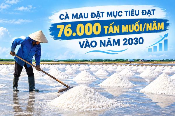 Cà Mau đặt mục tiêu đạt 76.000 tấn muối/năm vào năm 2030