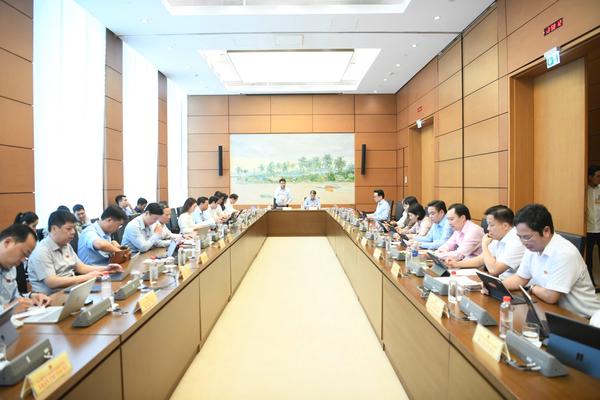 Đại biểu Quốc hội chỉ ra lỗ hổng quản lý từ vụ sữa bột giả, kẹo rau củ Kera