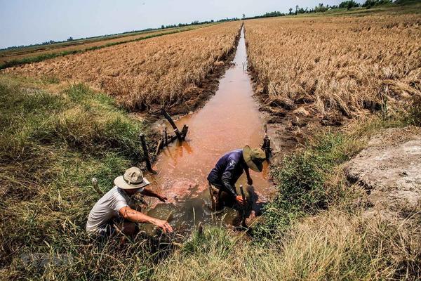 Bài 1: Hạn mặn khốc liệt đe dọa nhiều vùng