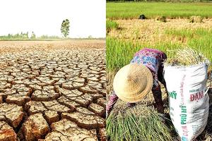 Bài 2: Giữ vững sinh kế, chuyển dịch mùa vụ thông minh