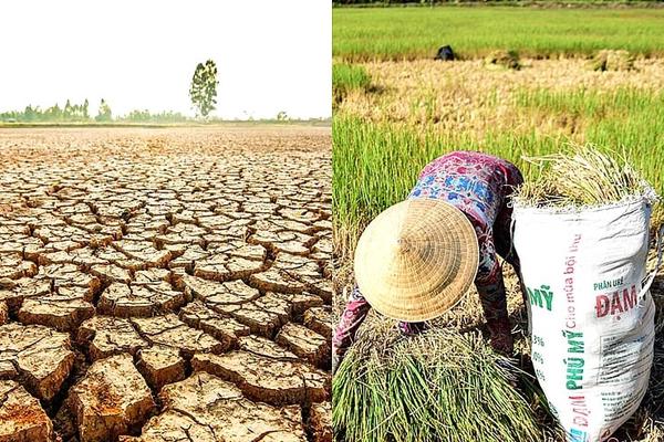 Bài 2: Giữ vững sinh kế, chuyển dịch mùa vụ thông minh
