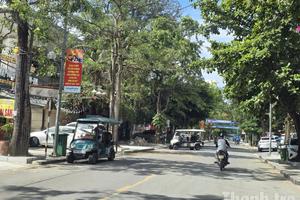 Thanh Hóa: Giữ nguyên 474 xe điện chở khách tại Sầm Sơn, tăng cường kiểm tra, xử lý vi phạm