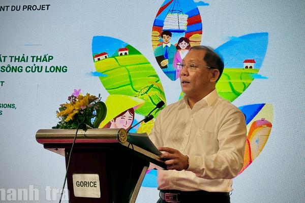 Cần Thơ: Triển khai dự án lúa gạo phát thải thấp, yêu cầu bảo đảm tiến độ và hiệu quả thực chất