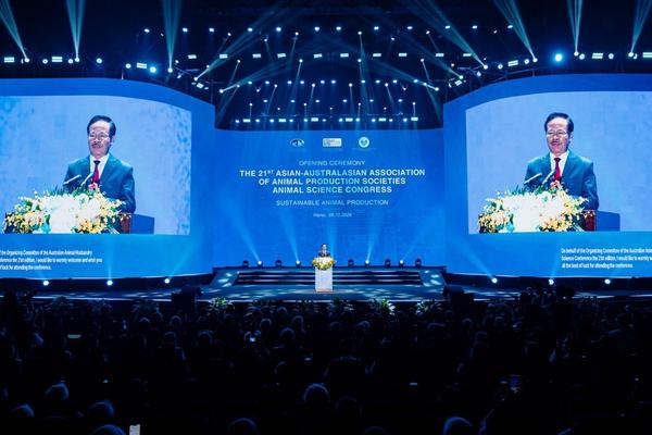 Trong top đầu ASEAN, nhiều lĩnh vực chăn nuôi Việt Nam khẳng định vị trí trong và ngoài nước