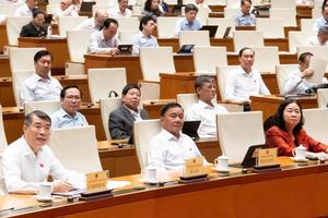 Đại biểu Quốc hội hiến kế phục hồi sinh kế cho người bị thu hồi đất