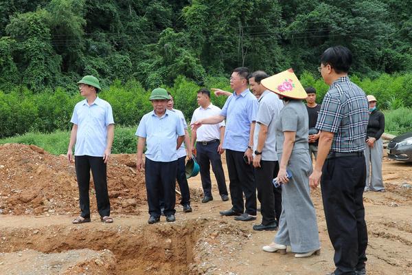 Nghệ An: Phê bình chủ đầu tư, nhà thầu chậm tiến độ dự án kè chống sạt lở