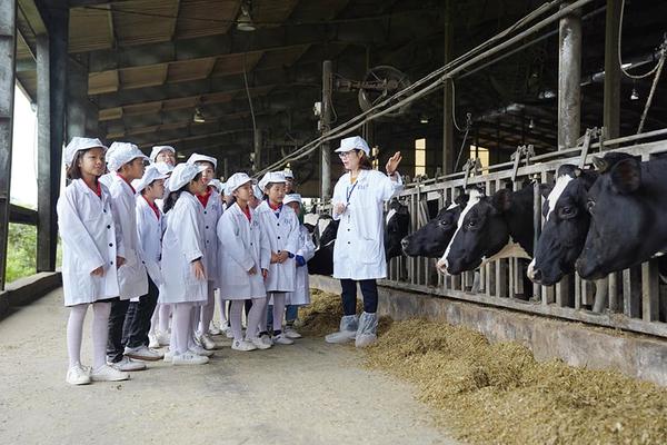 Hành trình chuyển đổi sang chăn nuôi dựa trên dữ liệu và ứng dụng AI
