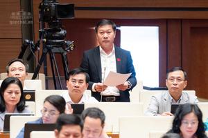 Đại biểu Quốc hội kể những câu chuyện về độ trễ chính sách