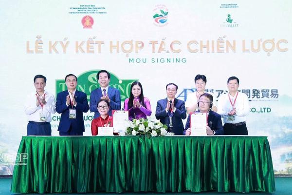 Thái Nguyên vươn tầm quốc tế từ văn hóa trà